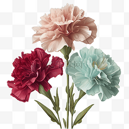 草本植物背景图片_三色康乃馨花瓣扇形背景