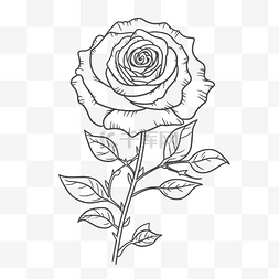 玫瑰白色线条图片_在线着色页玫瑰花卉绘图 eps bmxefe 