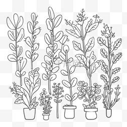 花盆素描图片_涂鸦手绘轮廓植物在花盆和容器素