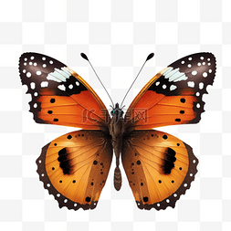 可爱昆虫插画图片_橙色好看蝴蝶3d模型图