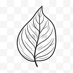树叶的轮廓矢量图片_叶线图 简单的叶矢量图 ilustra?o 轮