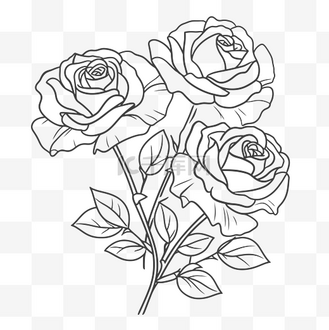 玫瑰花瓣线描图片_玫瑰花瓣线描素材-玫瑰花瓣线描图片大全-千库网