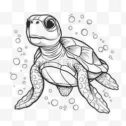 带有气泡的乌龟着色页轮廓素描 