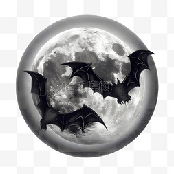 野生黑图片_满月飞翔的两只蝙蝠动物立体建模