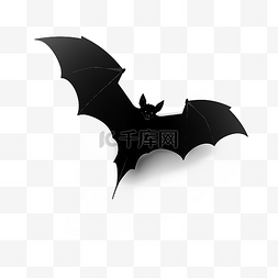 黑色蝙蝠翅膀图片_飞翔的蝙蝠剪影黑色卡通