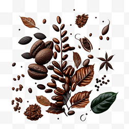 咖啡豆植物模板