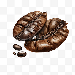 咖啡龙舌兰利口酒图片_咖啡豆咖啡卡通透明