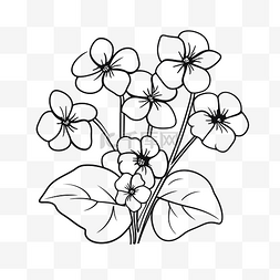 紫罗兰花被绘制为白色背景草图上