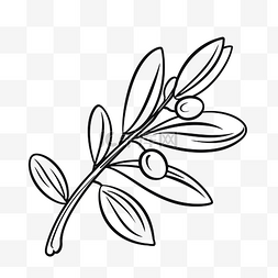 草图素描中的橄榄枝 向量