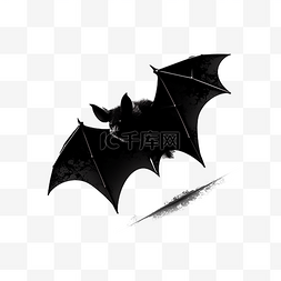 飞翔的吸血蝙蝠剪影黑色