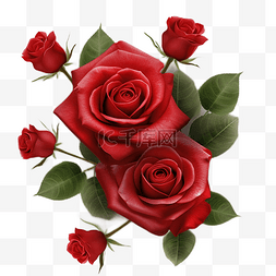 精美玫瑰花束图片_玫瑰红色