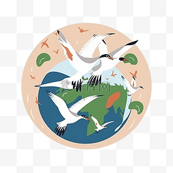 候鸟日鸟类地球图