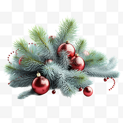 冷杉树枝圣诞节装饰