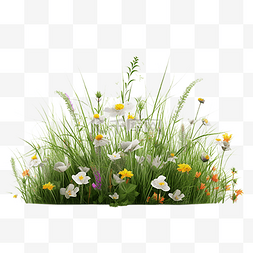 草丛地花开花