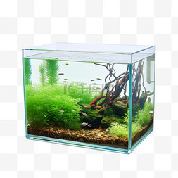 造型金鱼鱼缸元素立体免抠图案