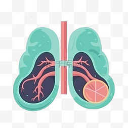 哮喘日器官健康