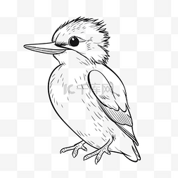 大型黑白鸟着色页笑翠鸟轮廓素描