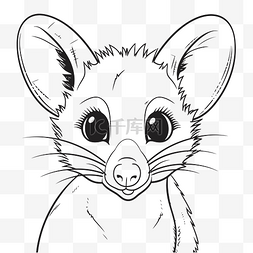 白鼠图片_可爱的小负鼠脸着色页轮廓素描 
