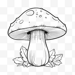 绘制一个详细的蘑菇与叶子轮廓草