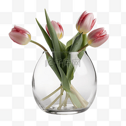 玻璃容器植物图片_郁金香玻璃花瓶