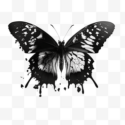 画的黑色线图片_黑白蝴蝶艺术剪影图