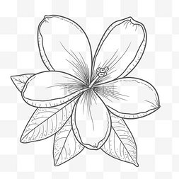 一朵花和叶子素描的轮廓图 向量