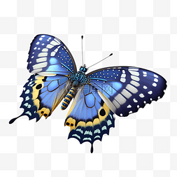 益虫色彩斑斓的蝴蝶