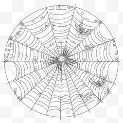 蜘蛛网着色页打印蜘蛛网轮廓素描