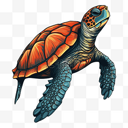 乌龟海龟红色龟壳图案