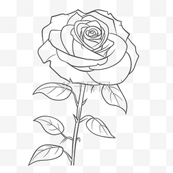 花的素描轮廓图片_玫瑰着色页是鲜红色的玫瑰轮廓素