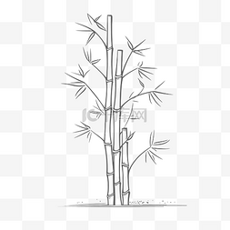 素描树图片_在白色背景轮廓图上速写的竹树 