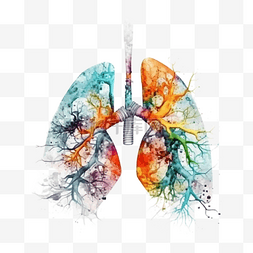 哮喘日肺彩色插画