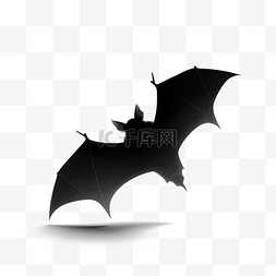 展翅飞翔卡通图片_飞翔的蝙蝠剪影黑色