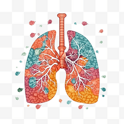 哮喘日扁平肺部