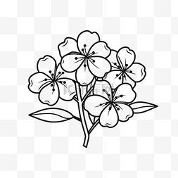 樱花素描图片_黑色和白色的花朵轮廓素描画 向