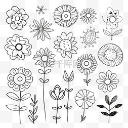 用于着色轮廓素描的简单黑白花卉