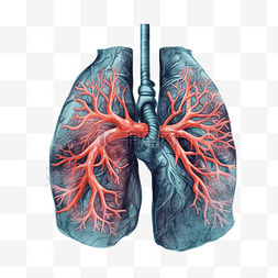 呼吸净化空气图片_哮喘日肺部红色插画