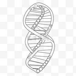 dna结构图图片_dna 着色页与 dna 轮廓素描 向量