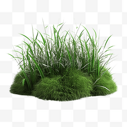绿色的草堆图案图片_草丛漂亮的草地