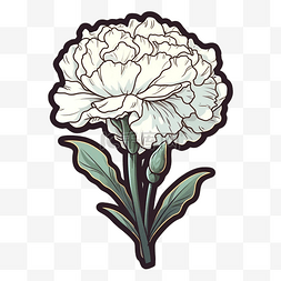 康乃馨白色带花苞图案
