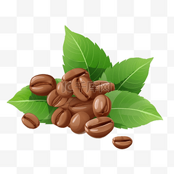 咖啡豆植物绿叶卡通