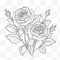两朵美丽的玫瑰，以彩色轮廓素描