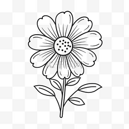 矢量线描花卉图片_用于花卉说明矢量图像矢量花卉花