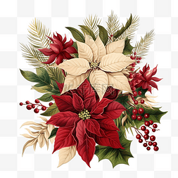 小學图片_圣诞花卉小插图与一品红和松枝