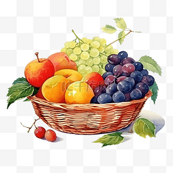 水果果篮图片_水彩水果篮