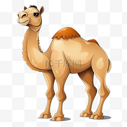 骆驼卡通动物