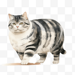 胖猫咪图片_黑白条纹的胖猫在水彩中行走