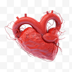 冠状动脉图片_体内积聚脂肪的冠状动脉