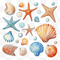 珊瑚珊瑚图片_水彩套贝壳海马海星气泡