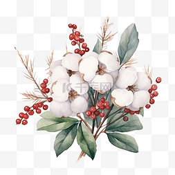 棉花植物花图片_水彩圣诞组合物花束冬青叶浆果和